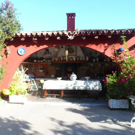 Casa Con Jardin Frente Playa De Burriana