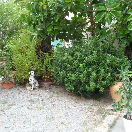 Casa Con Jardin Frente Playa De Burriana