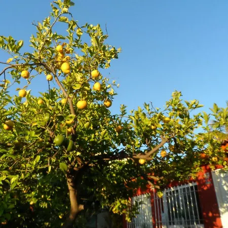 Holiday home Casa Con Jardin Frente Playa De Burriana